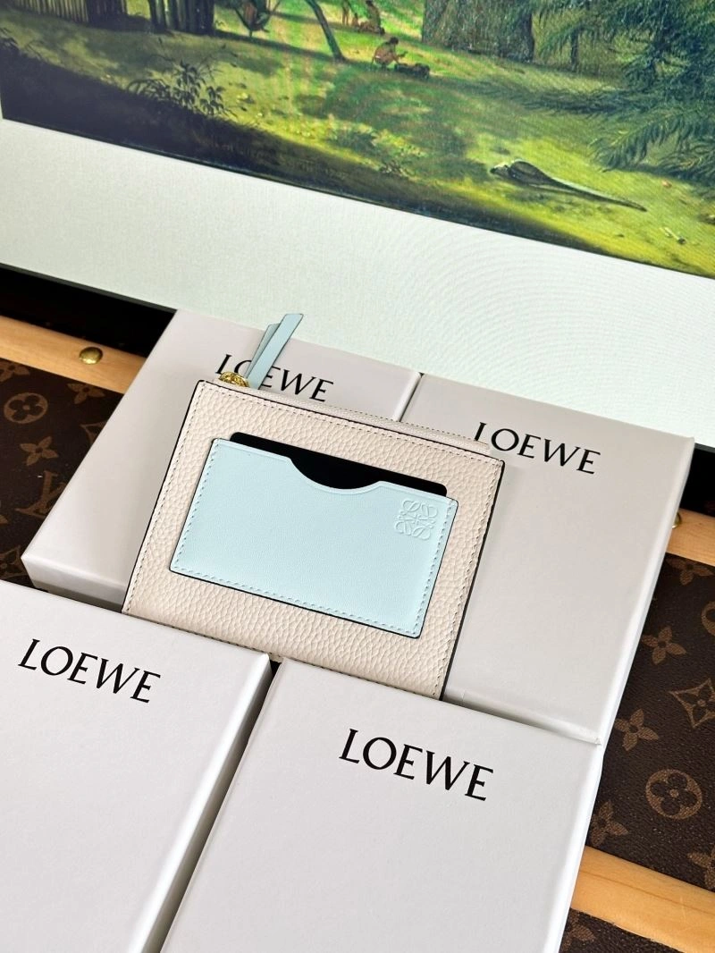 Youthful Loewe Card Holders 262666