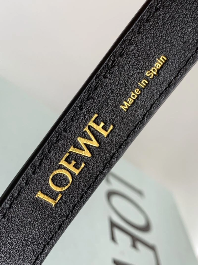 Loewe Cubi Bags Resilient 77481