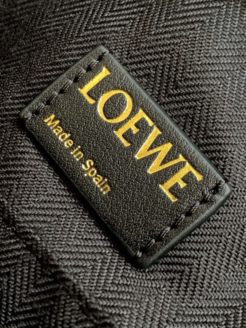 Loewe Cubi Bags Resilient 77481