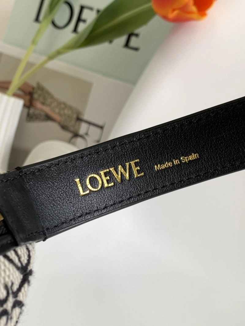 Sustainable Loewe Cubi Bags 73502