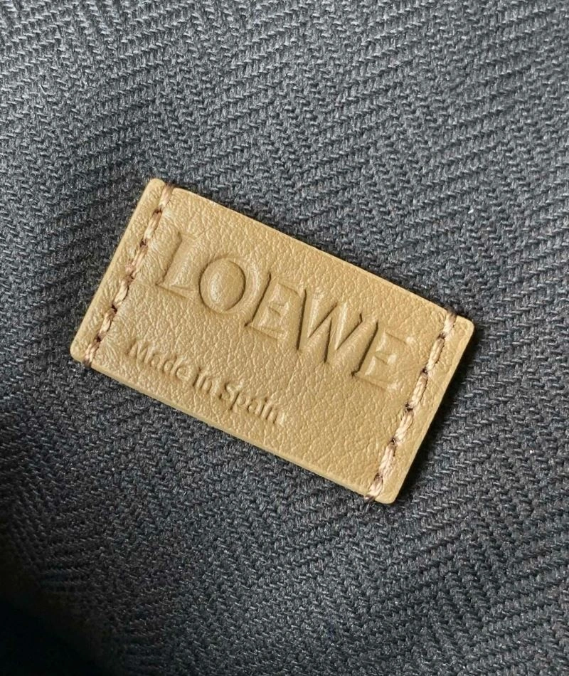 Loewe Cubi Bags Resilient 67100