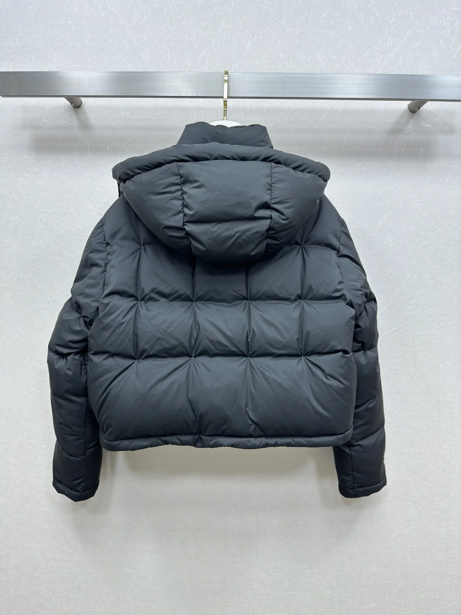 Loewe Down Jackets Unisex 165458