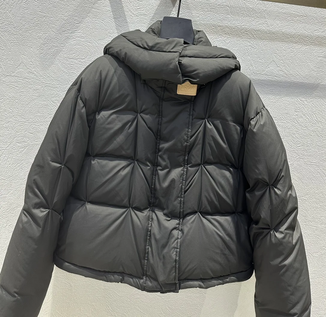 Loewe Down Jackets ComfortFit 165491