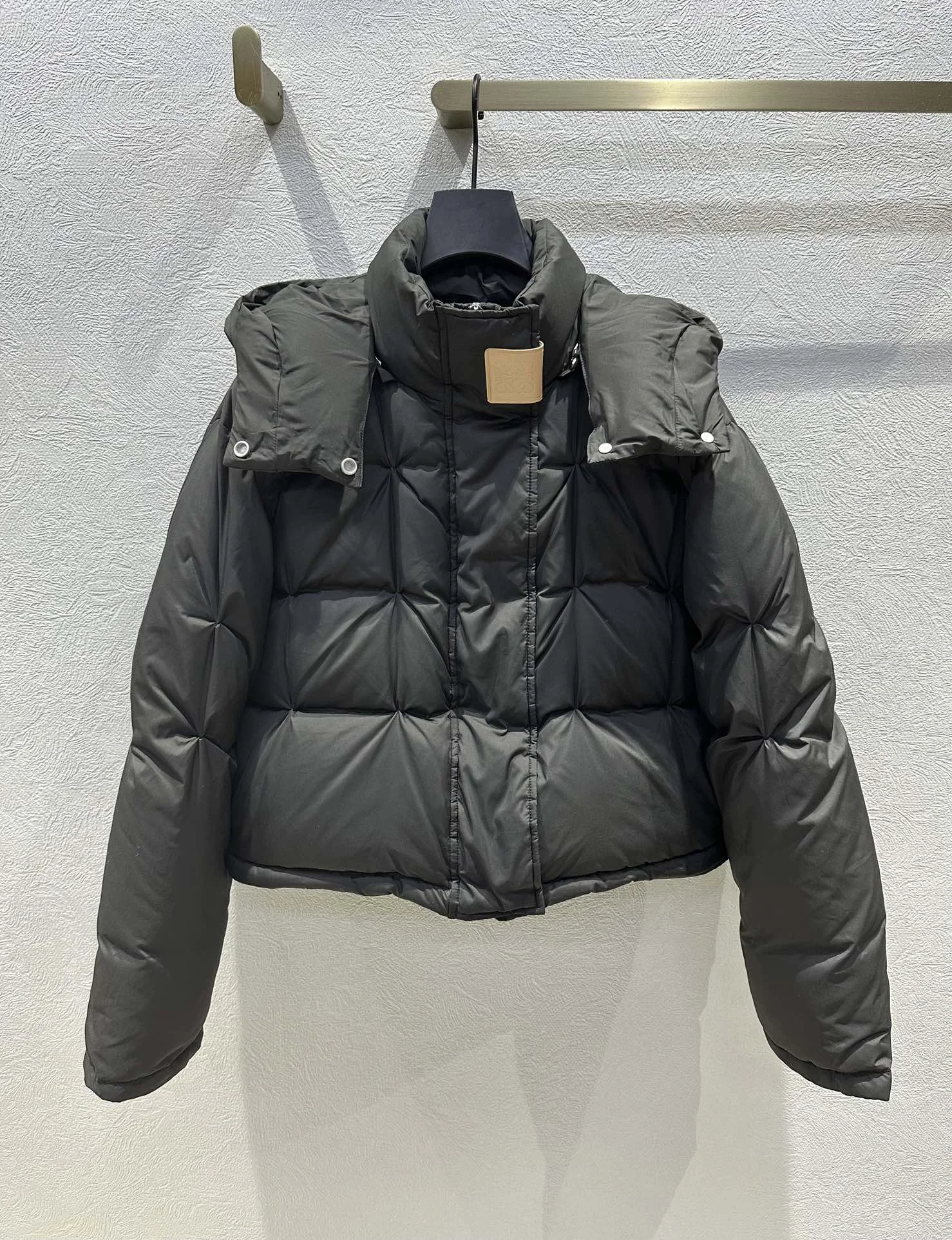 Loewe Down Jackets ComfortFit 165491