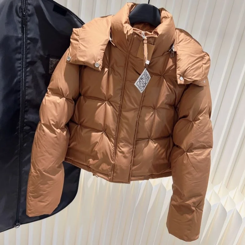 GoAnywhere Loewe Down Jackets 164974