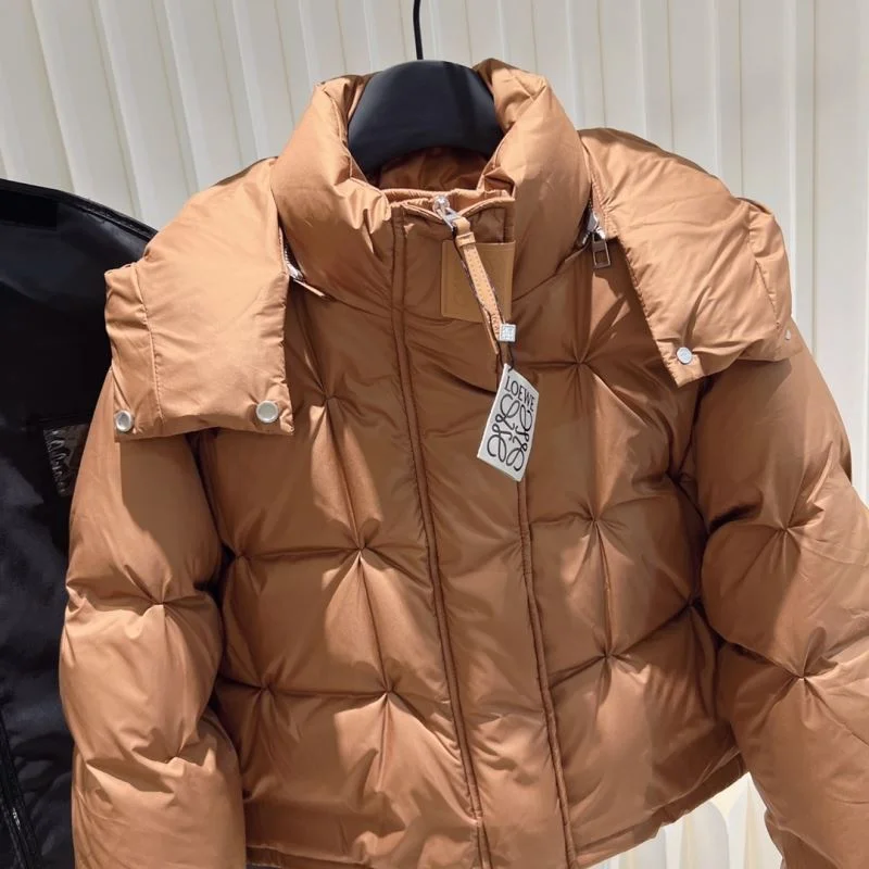 GoAnywhere Loewe Down Jackets 164974