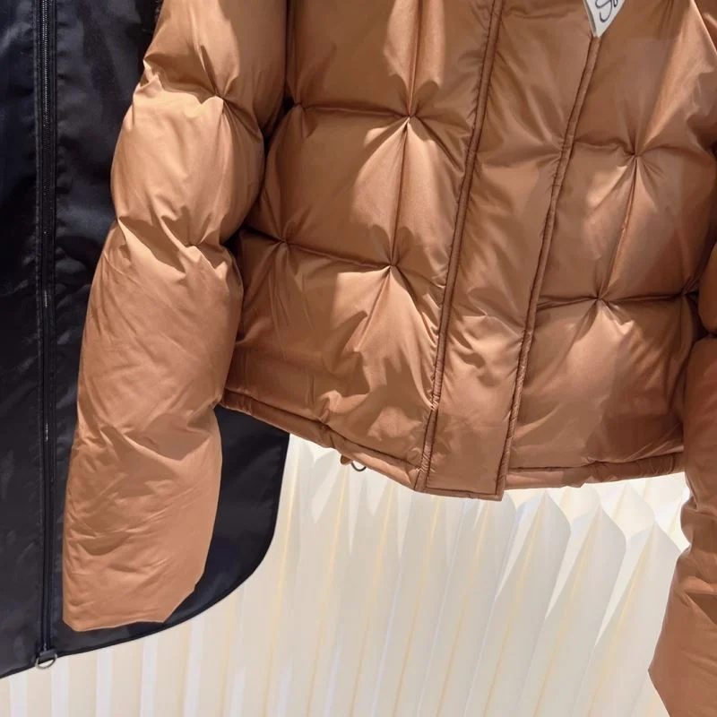 GoAnywhere Loewe Down Jackets 164974