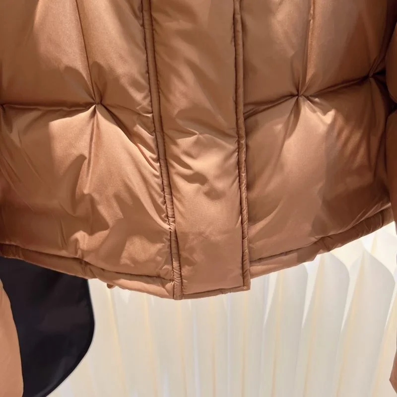 GoAnywhere Loewe Down Jackets 164974