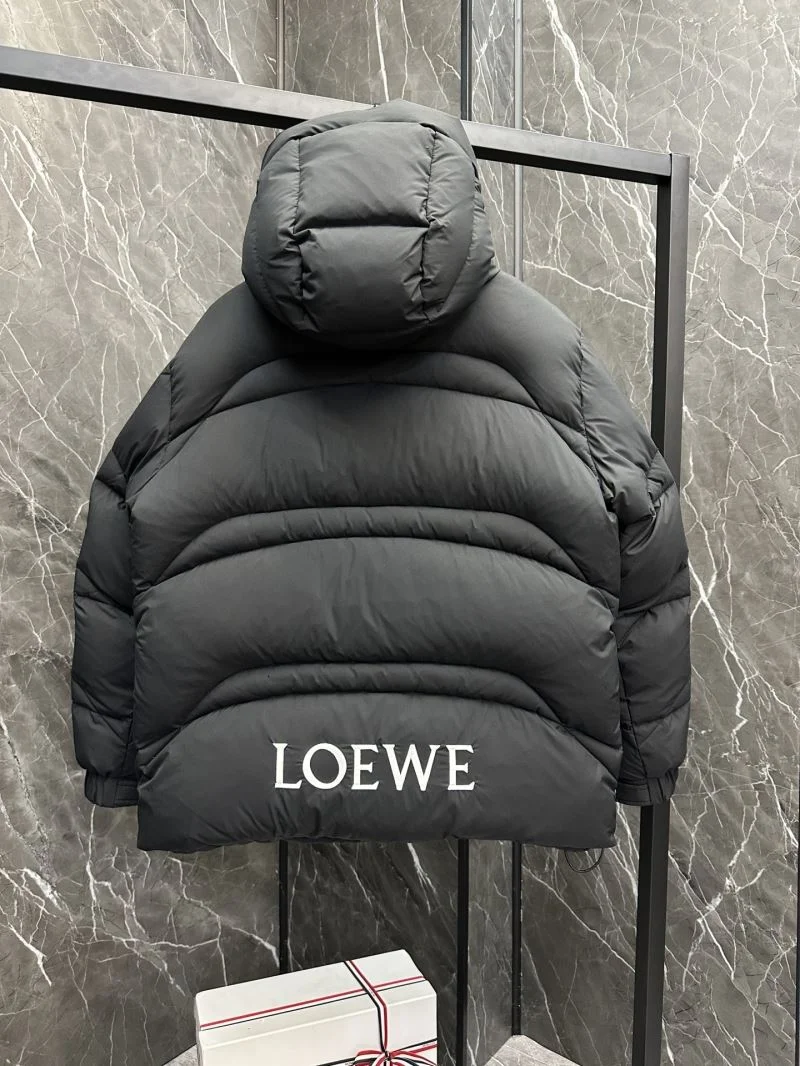 Loewe Down Jackets Unisex 164677
