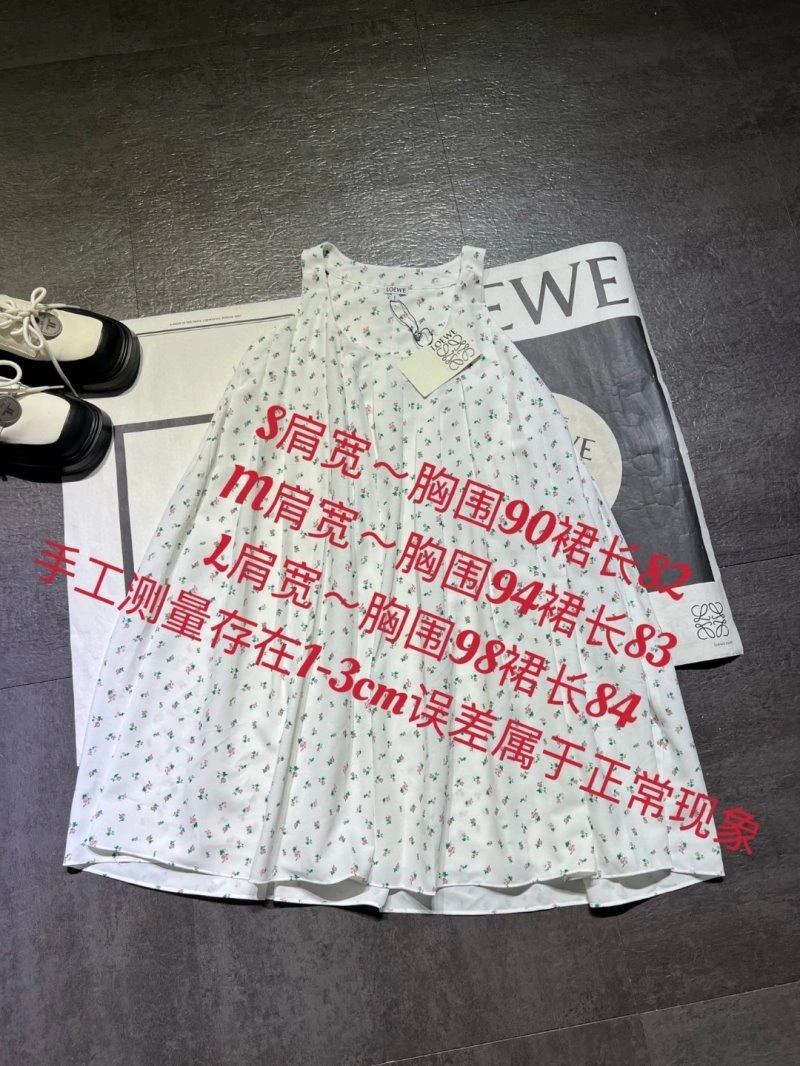 WrinkleFree Loewe Dress 156904