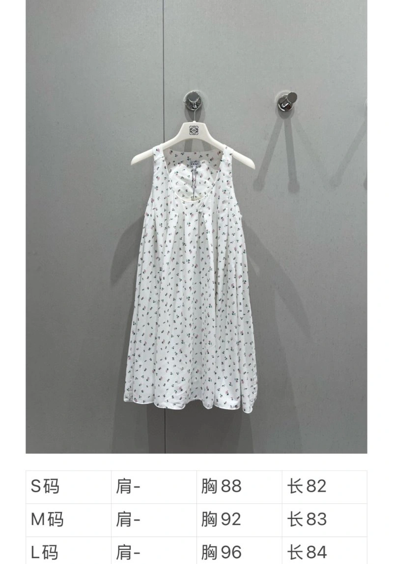 Loewe Dress BestValue 149892