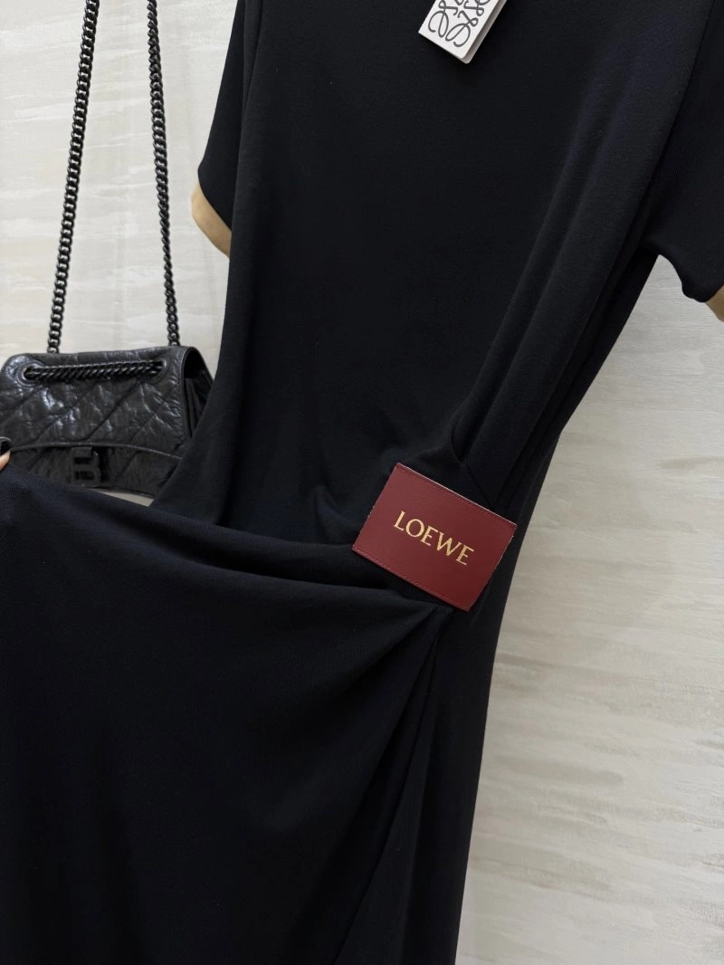 Bold Loewe Dress 149883