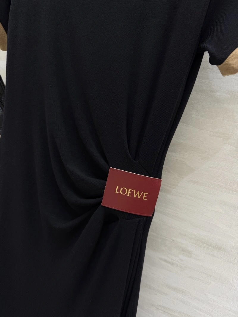 Bold Loewe Dress 149883