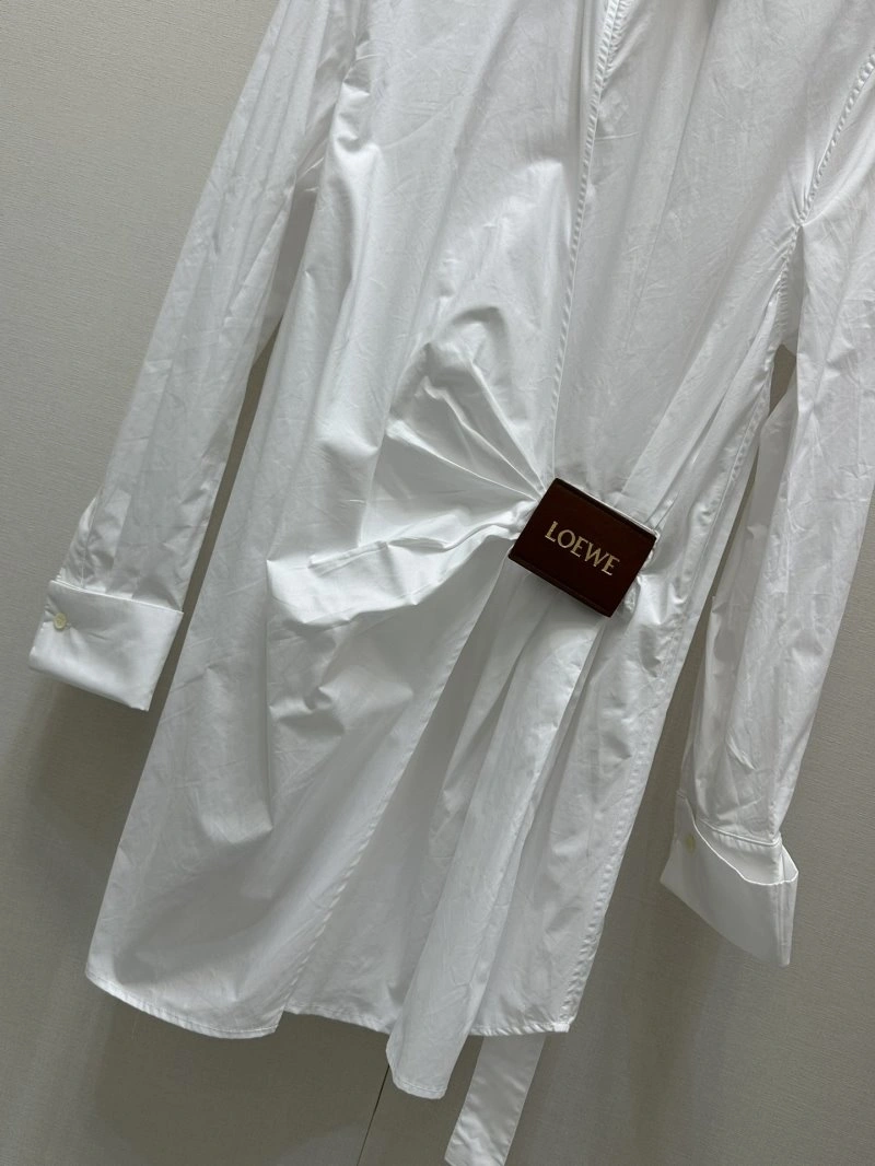 MultiPurpose Loewe Dress 149839