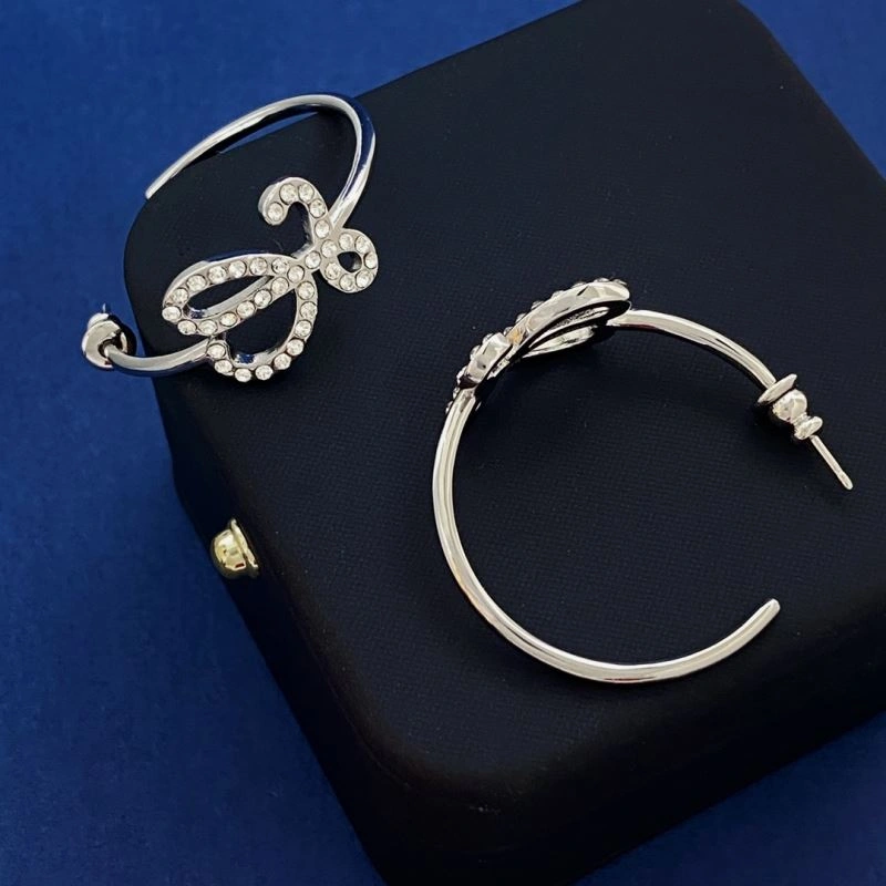 Loewe Earrings SportInspired 213904