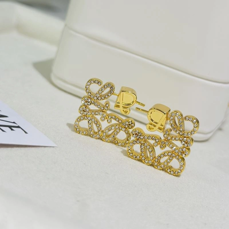 Loewe Earrings Colorful 214529
