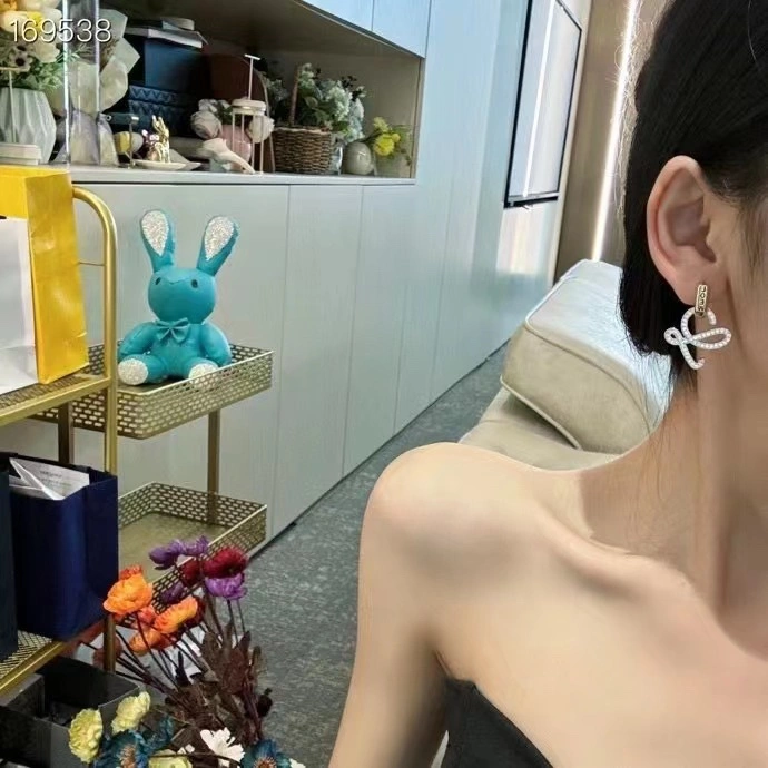 Sustainable Loewe Earrings 214525