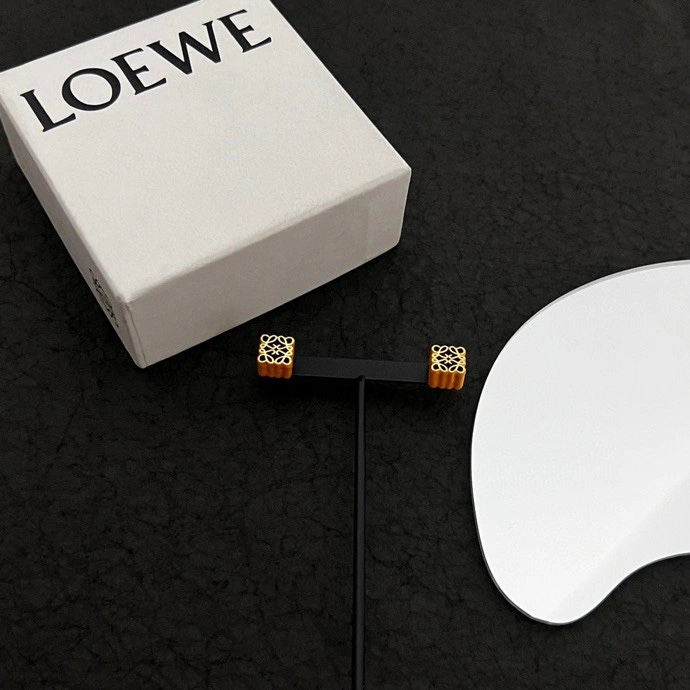 Chic Loewe Earrings 212589