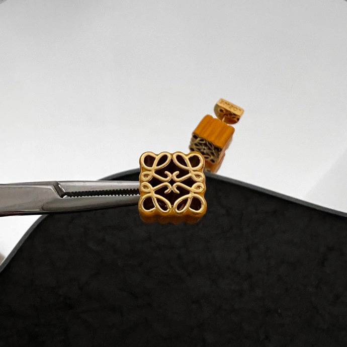 Chic Loewe Earrings 212589