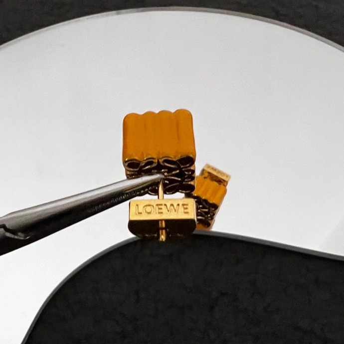 Chic Loewe Earrings 212589