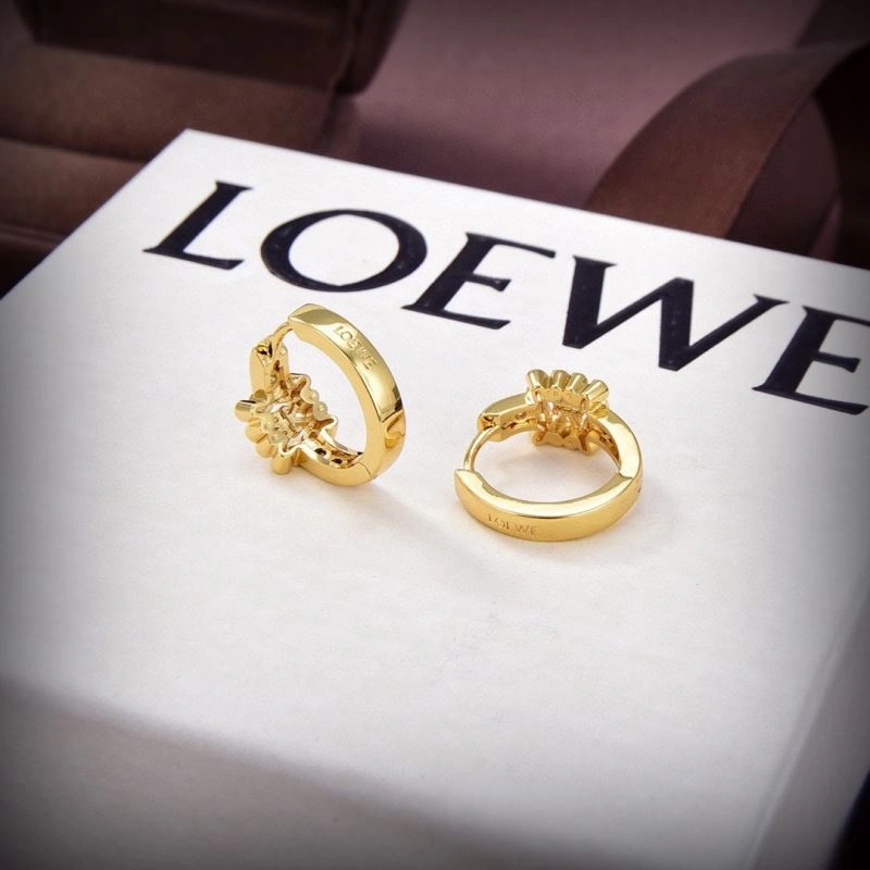 Snug Loewe Earrings 211994