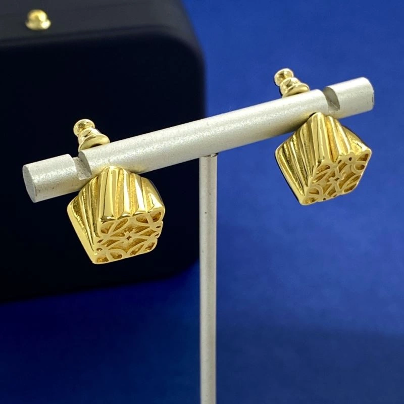HighPerformance Loewe Earrings 211938