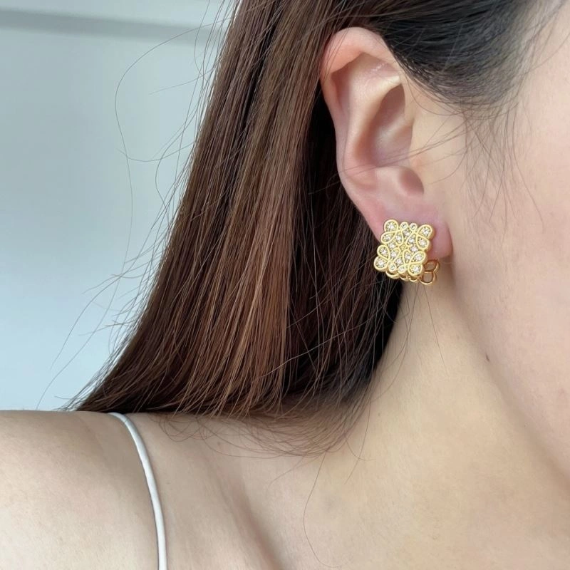 Practical Loewe Earrings 211184