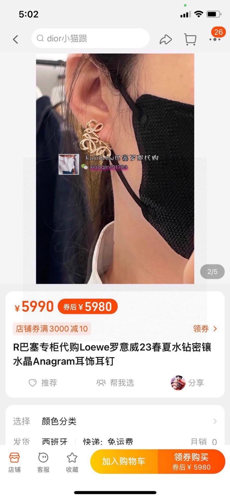 Loewe Earrings Tailored 211170