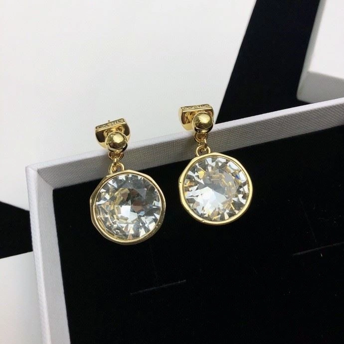 Loewe Earrings HighPerformance 209749