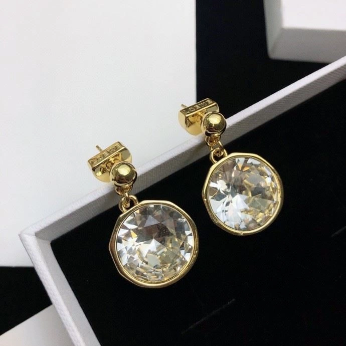 Loewe Earrings HighPerformance 209749