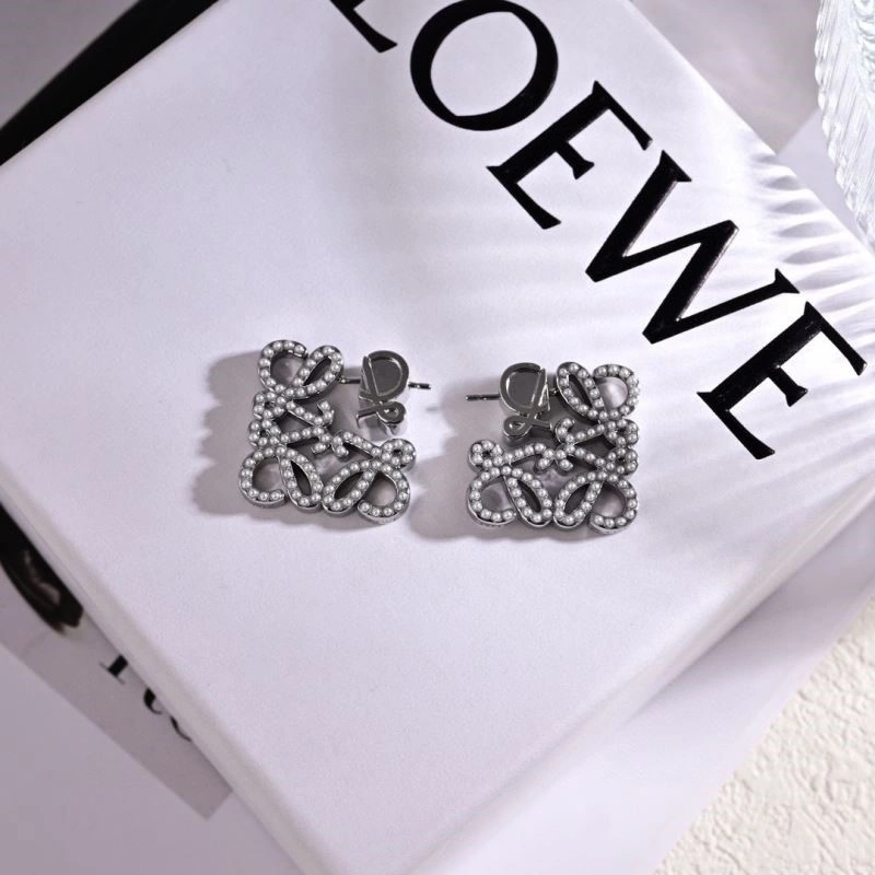 Colorful Loewe Earrings 209239