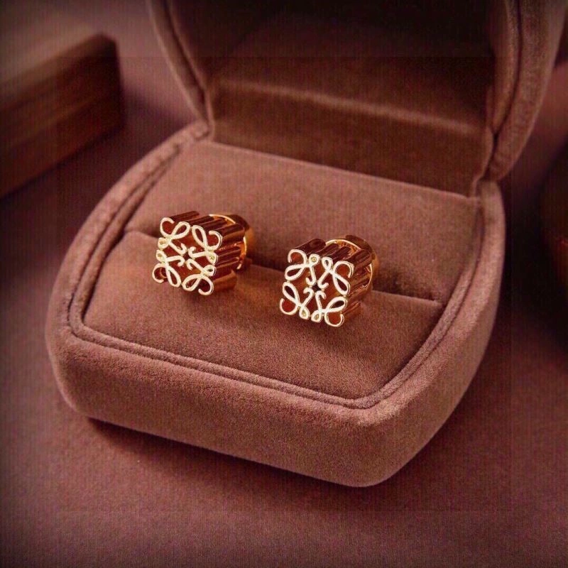 Loewe Earrings Durable 208678