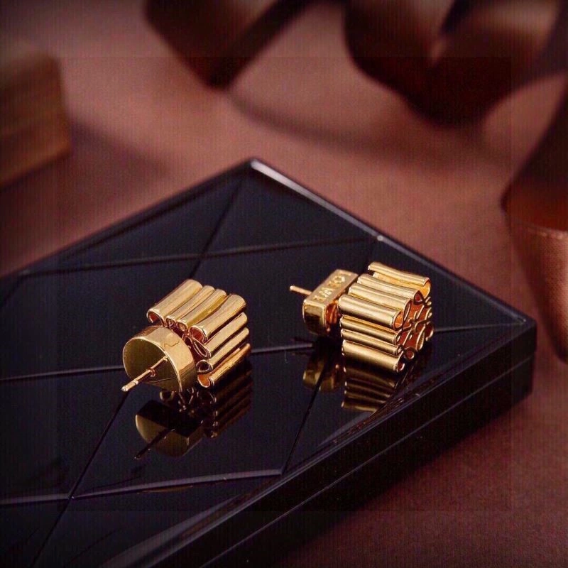 Loewe Earrings Durable 208678