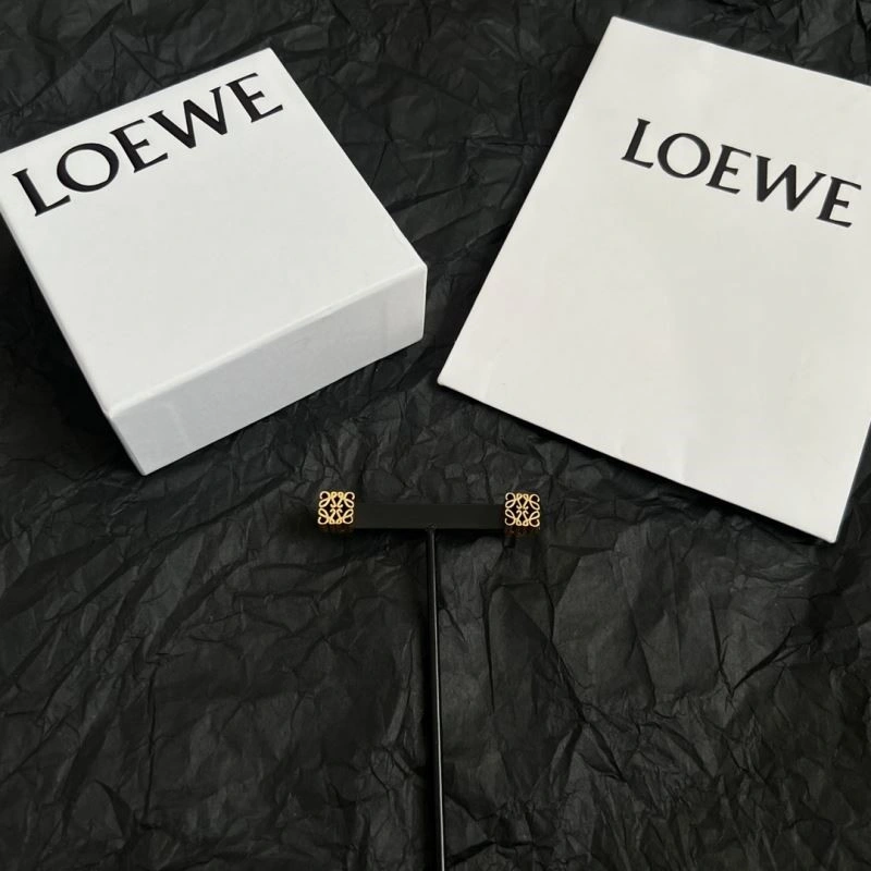 Unique Loewe Earrings 208657