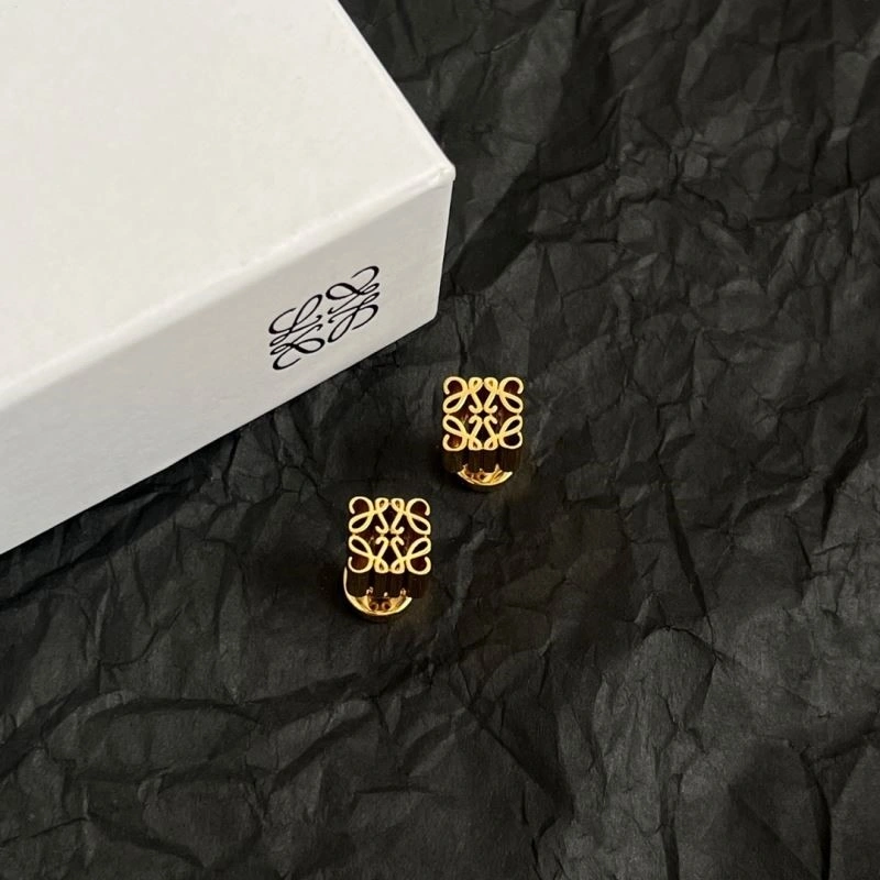 Unique Loewe Earrings 208657