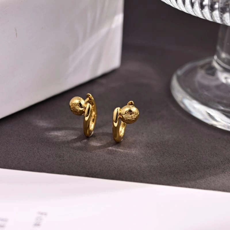 Loewe Earrings ZeroBulk 208705