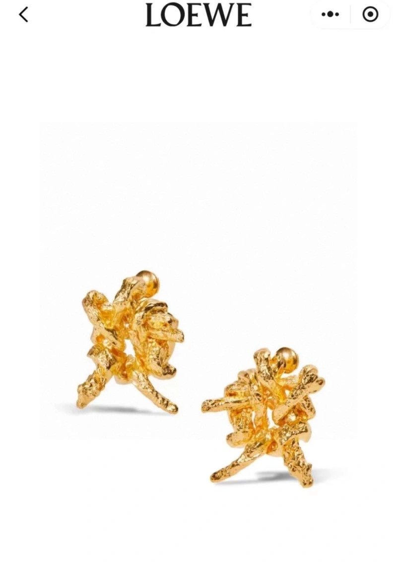 Loewe Earrings Affordable 207904