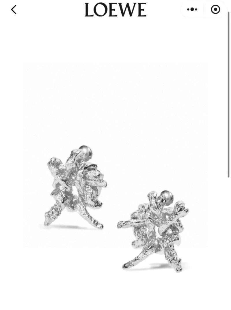 Loewe Earrings Affordable 207904
