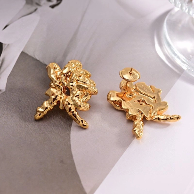Loewe Earrings Affordable 207904