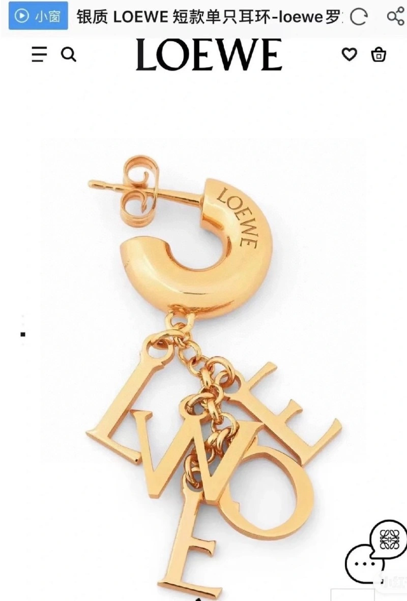 SunProtective Loewe Earrings 207907