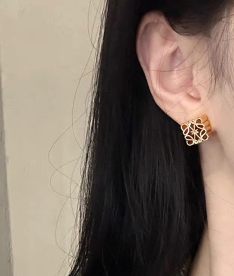 Loewe Earrings Affordable 207900