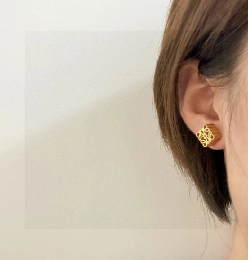 WrinkleFree Loewe Earrings 207894