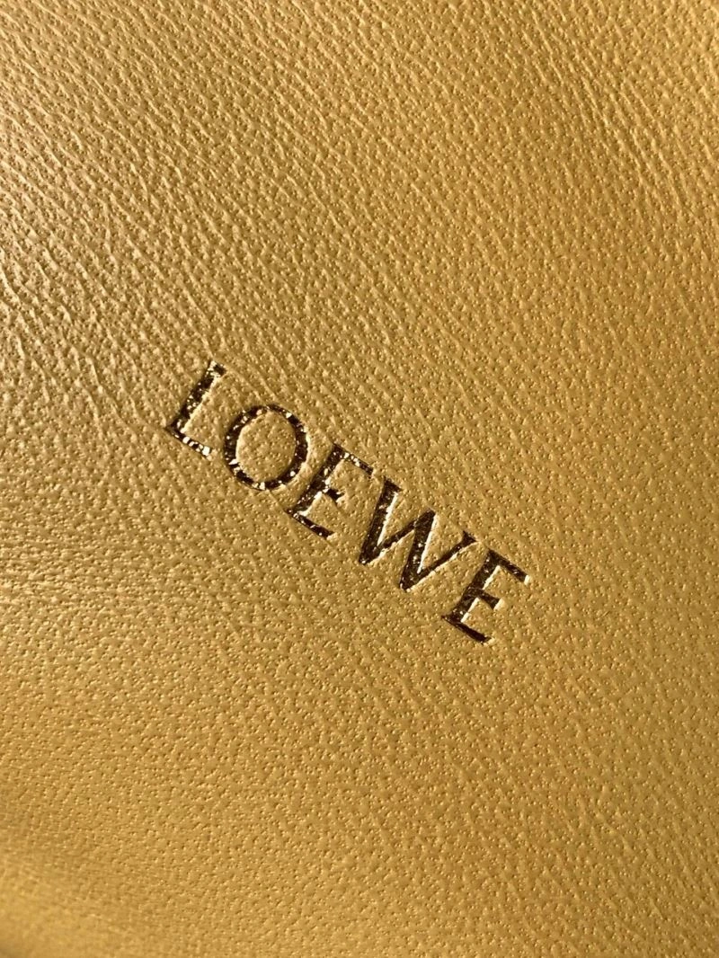 Sustainable Loewe Flamenco Bags 61300
