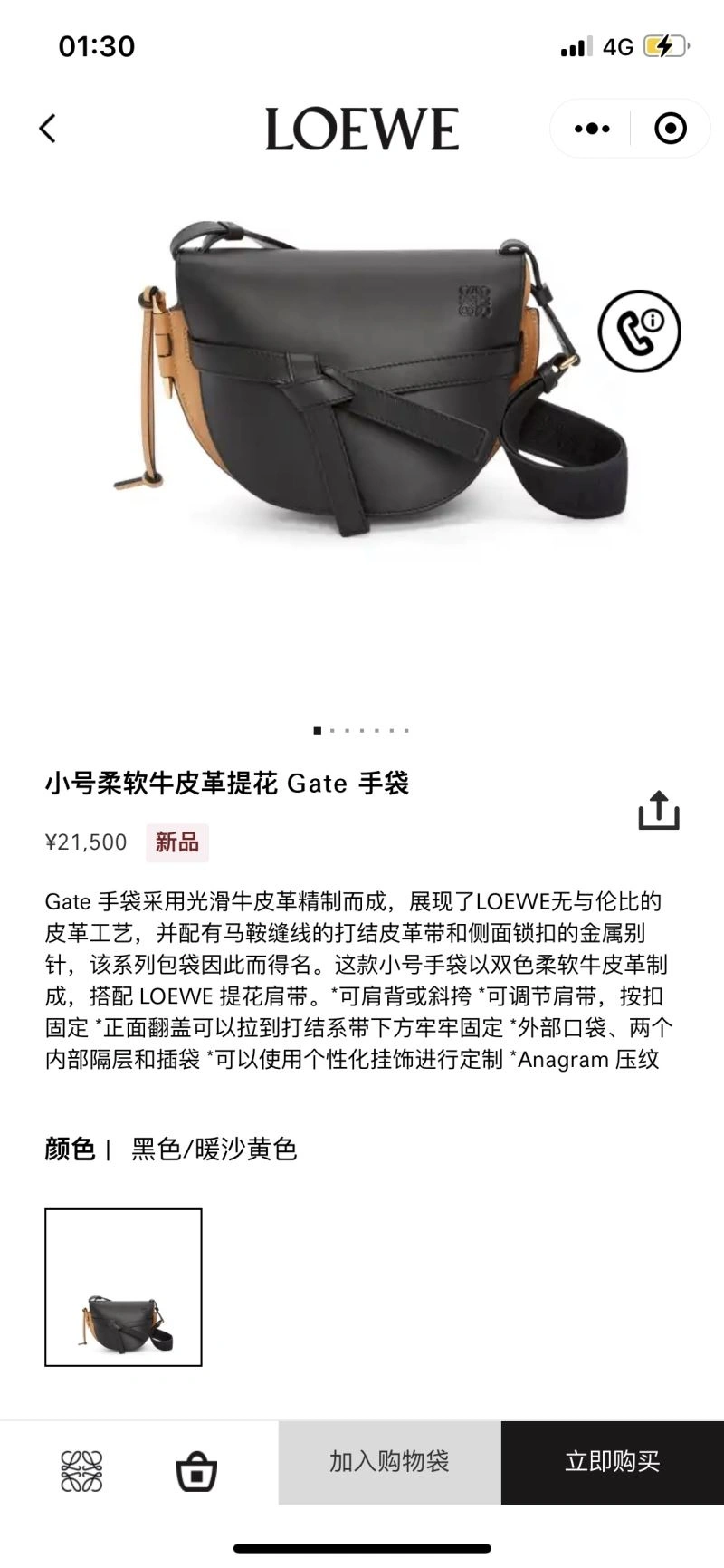 FreshLook Loewe Gate Bags 61640