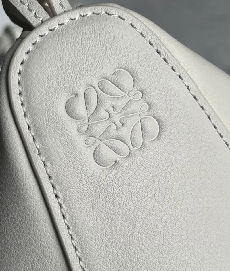 Loewe Hobo Bags OdorResistant 58456