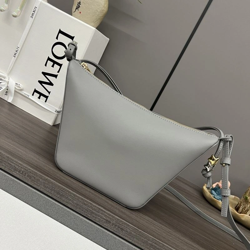 Loewe Hobo Bags Colorful 58483