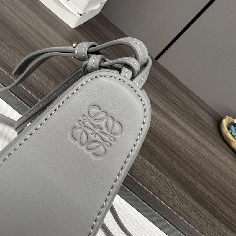 Loewe Hobo Bags Colorful 58483