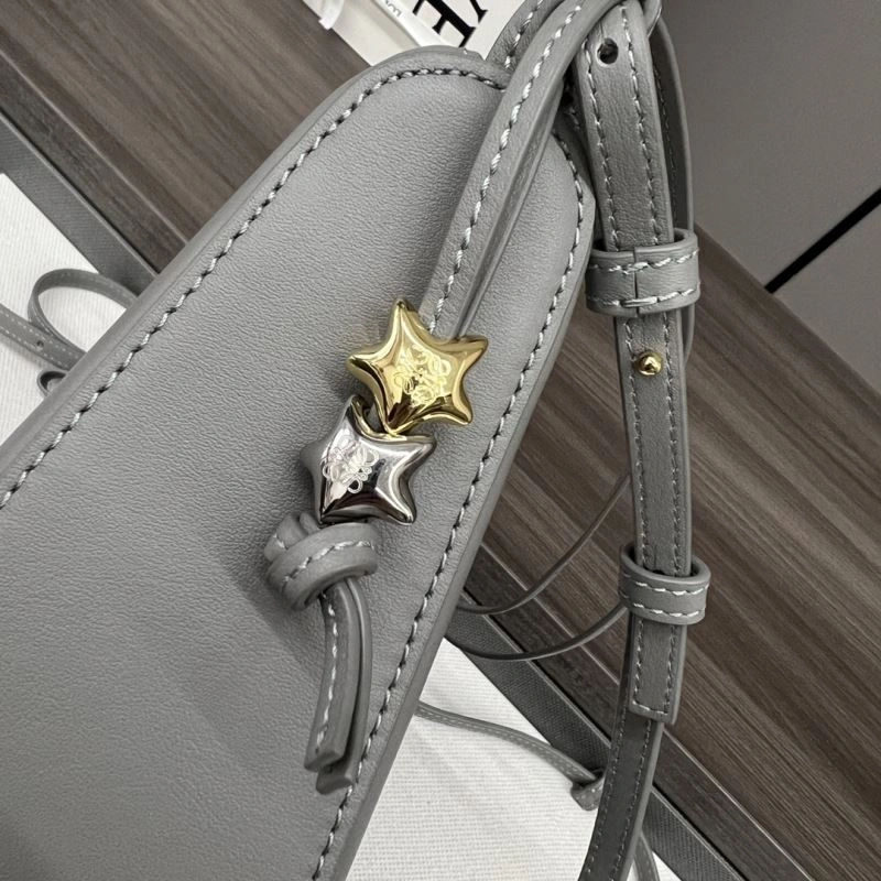 Loewe Hobo Bags Colorful 58483