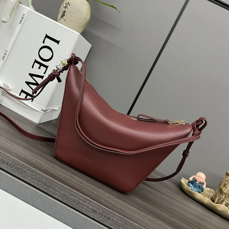 Practical Loewe Hobo Bags 77377