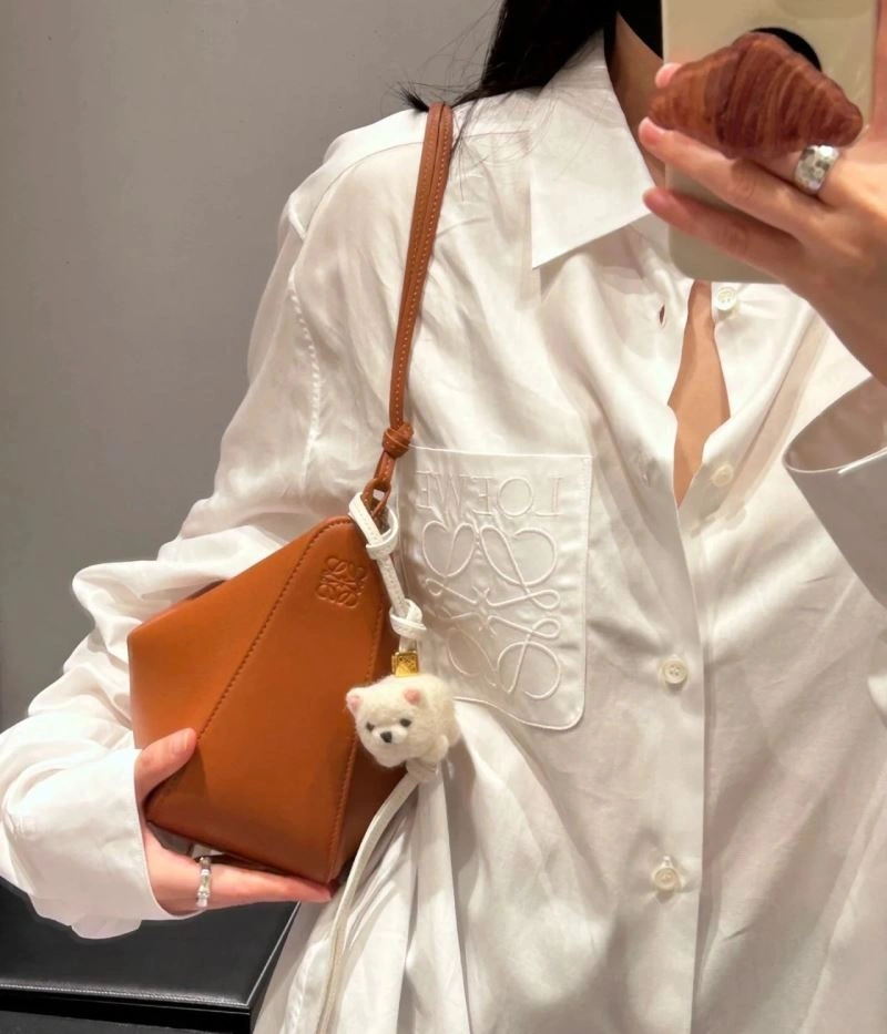 Modern Loewe Hobo Bags 61577